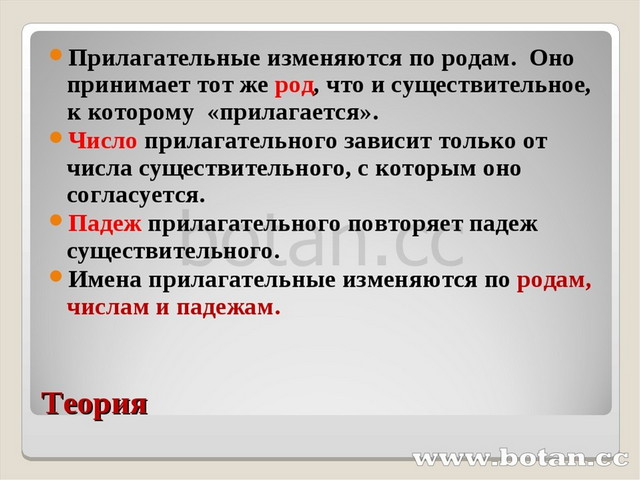 Связь прилагательного с существительным 2 класс