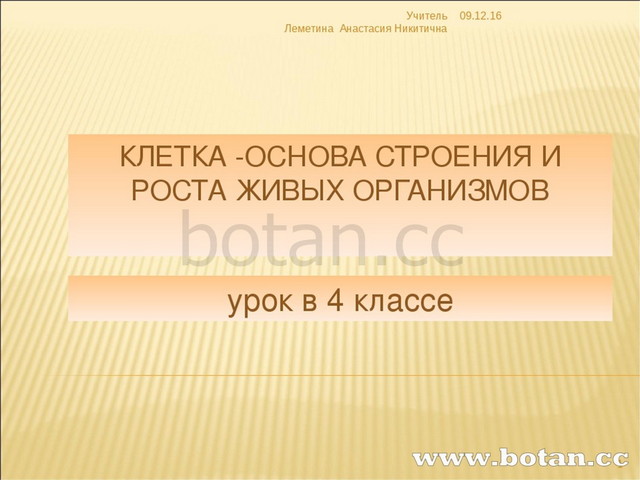 Человек в современных условиях 4 класс занков окружающий мир презентация