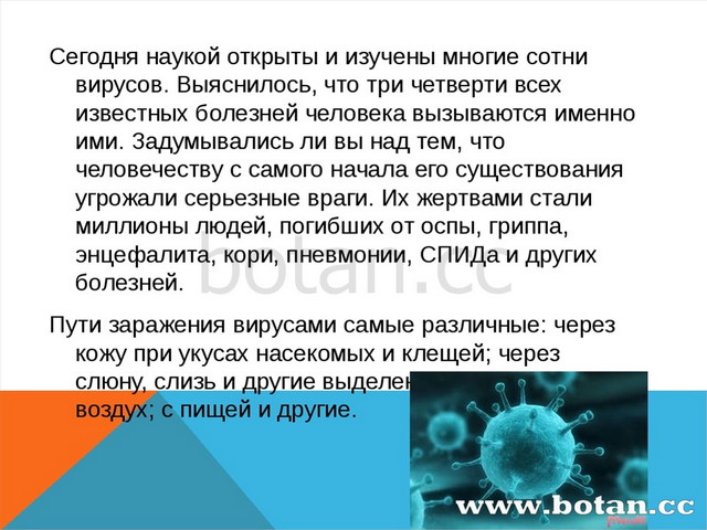 Вирусы презентация 5 класс биология