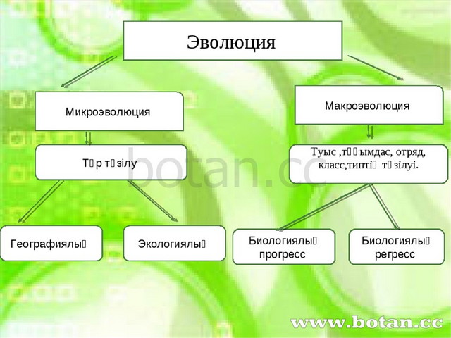 Микроэволюция презентация 9 класс