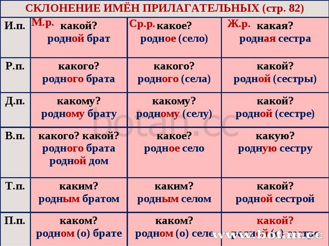 Число имен прилагательных презентация 3 класс