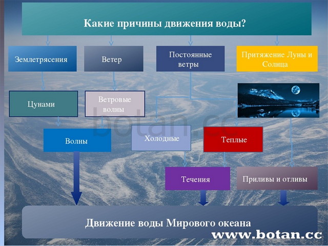 Воды мирового океана 6 класс презентация