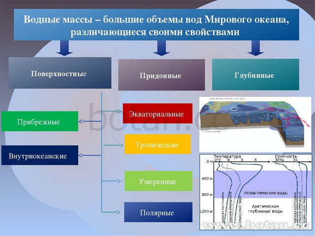 Мировой океан 1 6 класс презентация полярная звезда