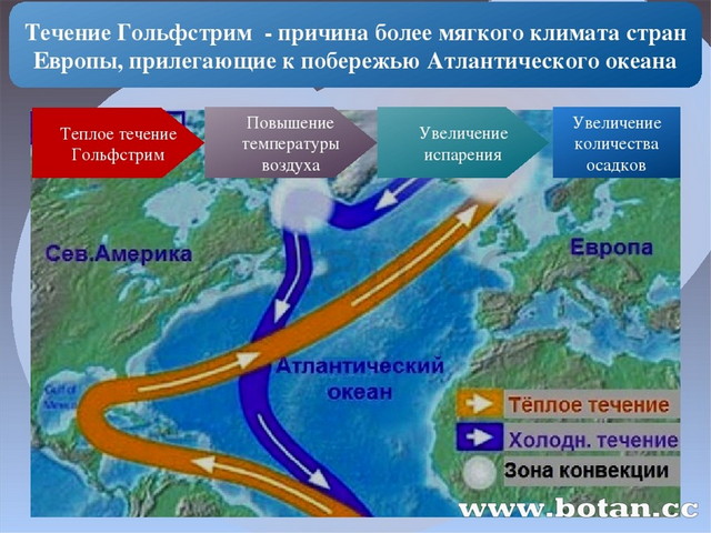 Воды океана презентация 6 класс география полярная звезда