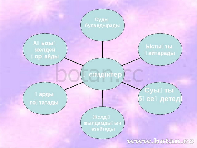 Сәндік гүлдер түрлері презентация