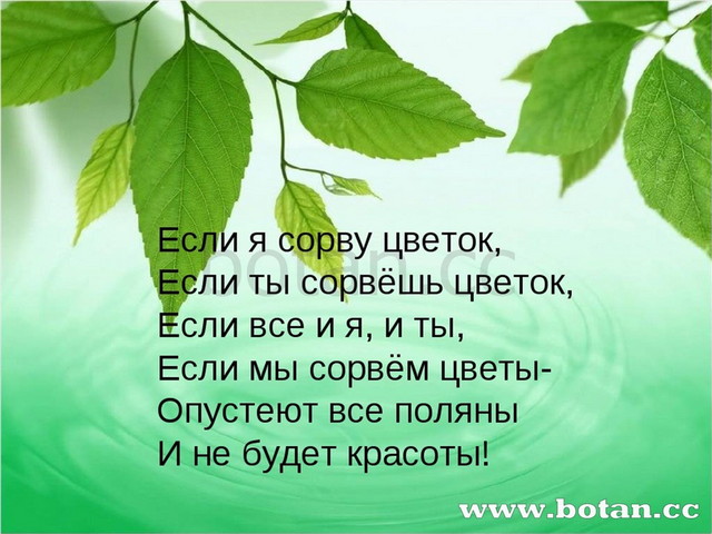 Белозеров подснежники маршак апрель 1 класс презентация школа россии