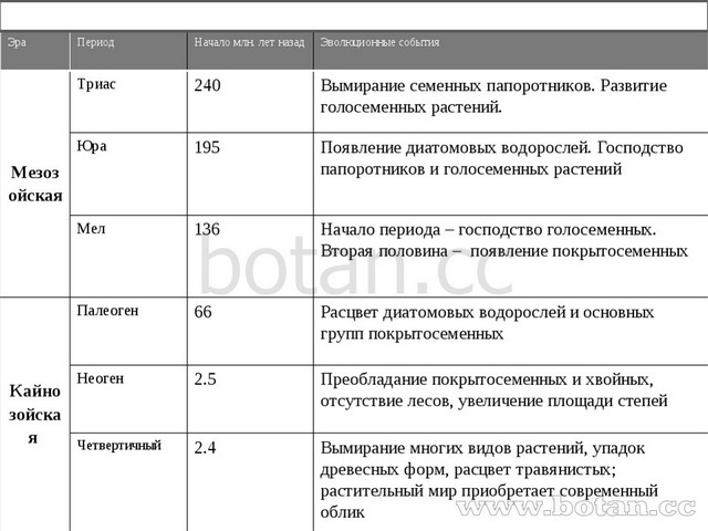 Составьте схему происхождение и эволюция высших растений используя следующие термины