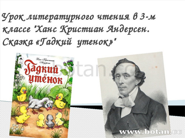 Презентация ганс христиан андерсен гадкий утенок