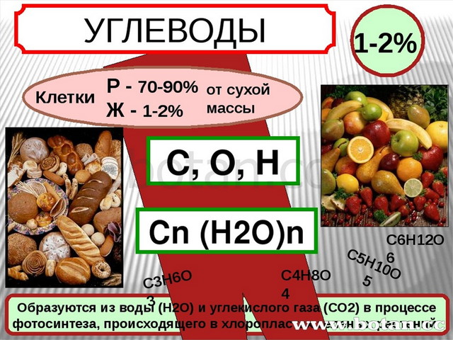 Углеводы презентация 9 класс