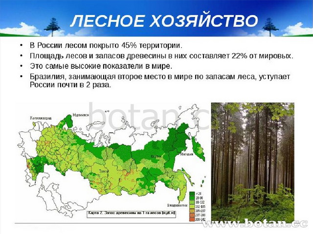 Презентация по географии 9 класс восточная сибирь население природные ресурсы и хозяйство