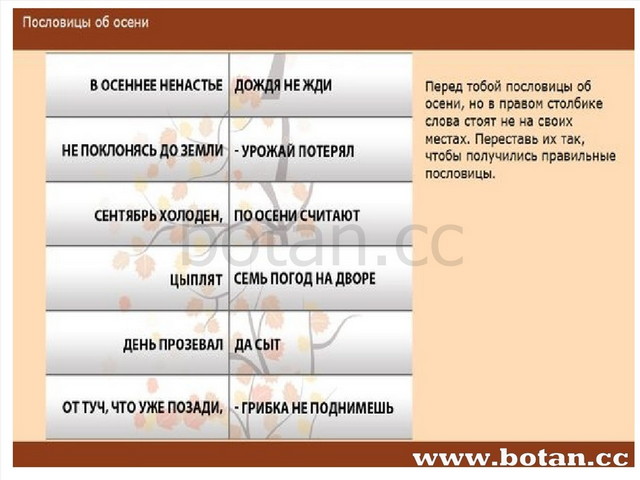 Тобольск презентация 4 класс