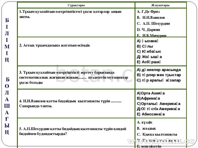 Ұзын қысқа биік аласа кең тар қалың жұқа тең заттар тех карта мектепалды даярлық