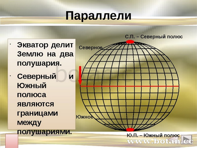 Какими свойствами обладает географическая карта