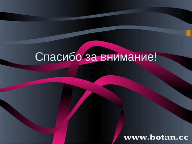 протоколы техники безопасности на уроках физической культуры