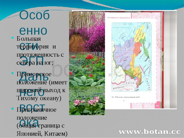 Презентация на тему дальний восток 9 класс