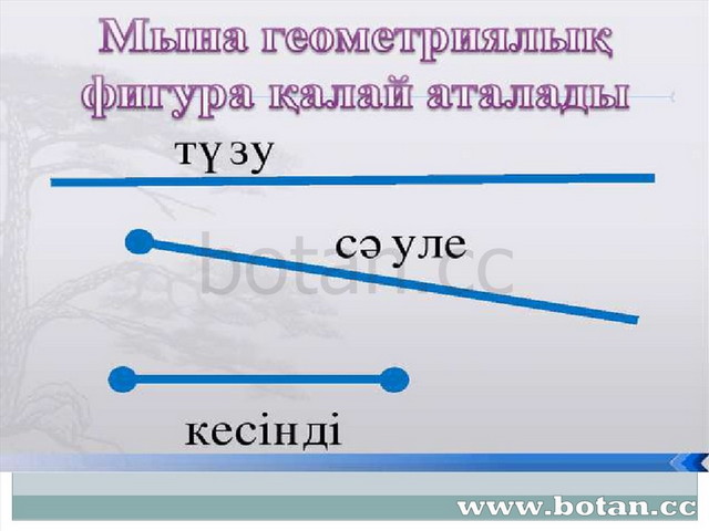 Цифрлық сауаттылық 1 сынып презентация