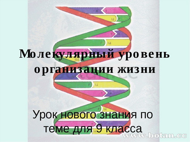 Идея развития органического мира в биологии 9 класс презентация