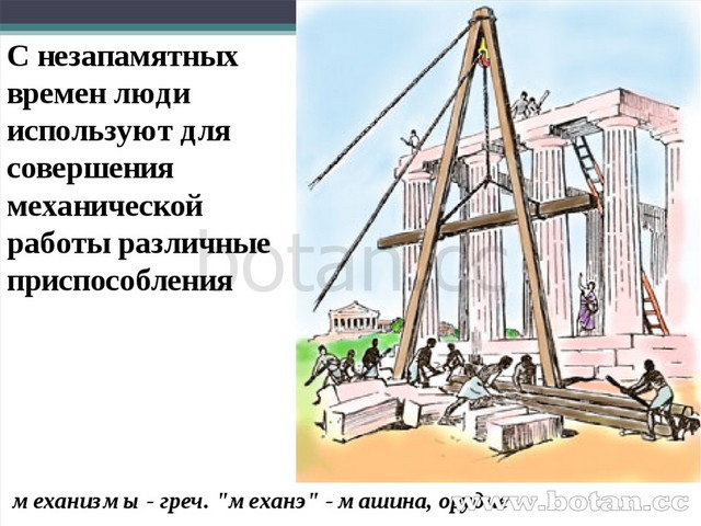 Проект по физике 7 класс рычаги в быту и живой природе