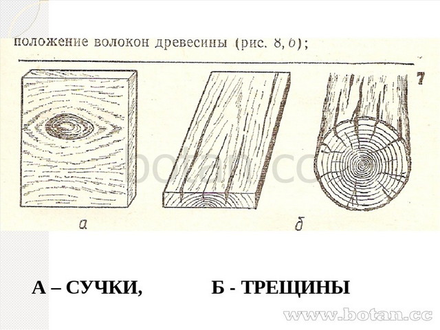 Естественный рисунок древесины 8 букв