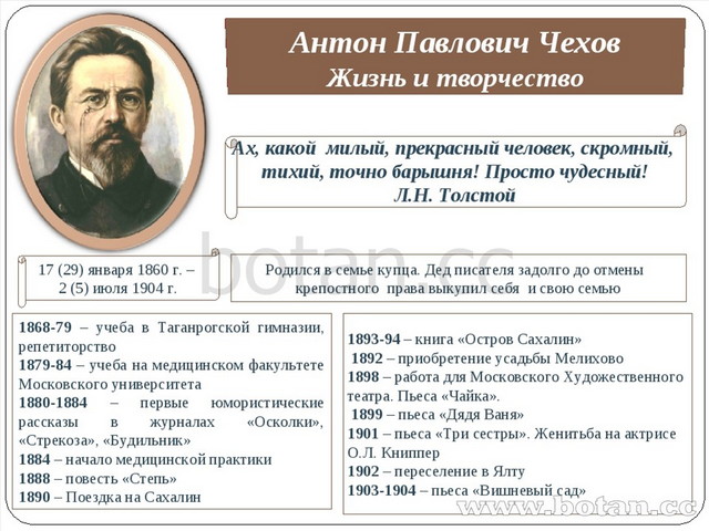 Творчество чехова презентация 10 класс. Чехов жизнь и творчество. Жизнь и творчество а п Чехова. Творчество Чехова кратко.