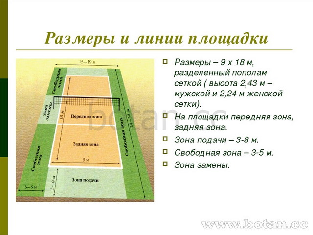 Волейбол презентация по физкультуре