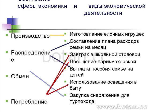 Виды экономической деятельности обществознание 6 класс. Виды экономической деятельности. Сферы экономической деятельности. Экономическая деятельность примеры. Виды экономической деятельности примеры.