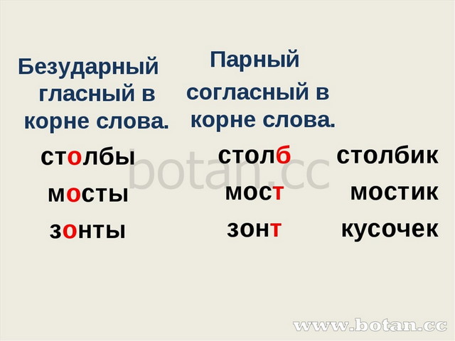 Безударная согласная примеры. Слова с безударными согласными. Слова с безударной согласной. Слова с безударной гласной в корне и парной согласной. Слова с бещцлврной согласно.