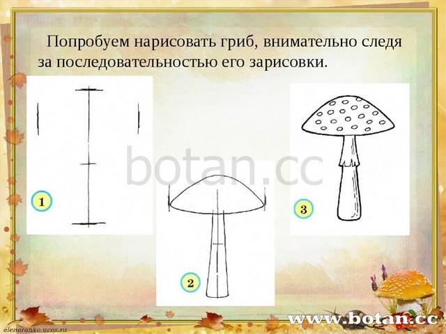 Изо 2 класс презентации к урокам поэтапное рисование