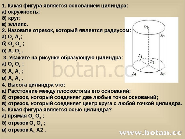 Основание фигуры. Какая фигура является основанием цилиндра. Какая фигура основание цилиндра. Фигура в основании цилиндра. Цилиндр с основанием овал.