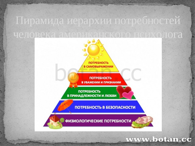 Особые потребности здоровья. Пирамида иерархии потребностей. Пирамида Маслоу потребности человека для детей. Пирамида Маслоу потребности 6 класс. Пирамида потребностей семьи технология.