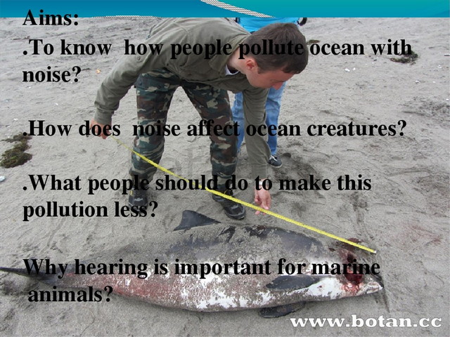 Конспект урока английского языка в 11 классе и презентация по теме ...