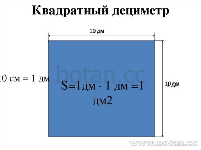 Квадратный дециметр это. Квадратный дециметр. 1 Квадратный дециметр. Квадратный метр. Квадрат 1 квадратный дециметр.