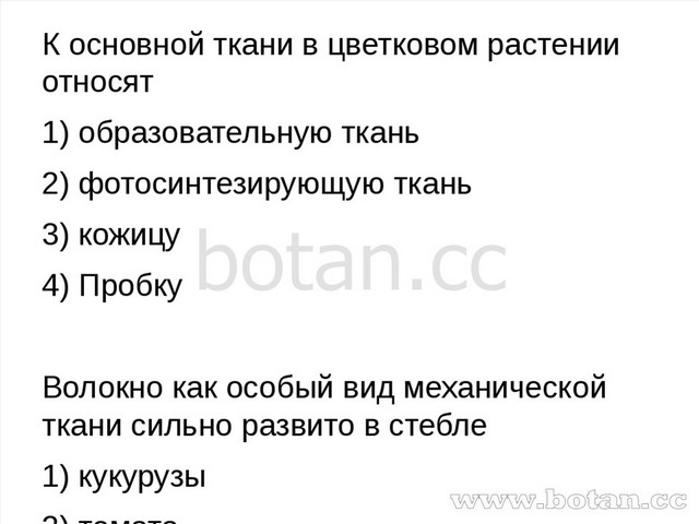 К основной ткани в цветковом растении относят 1) образовательную ткань 2) фот...