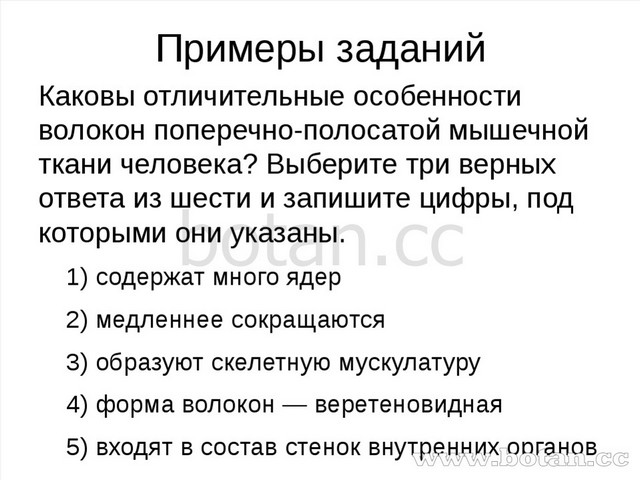 Примеры заданий Каковы отличительные особенности волокон поперечно-полосатой...