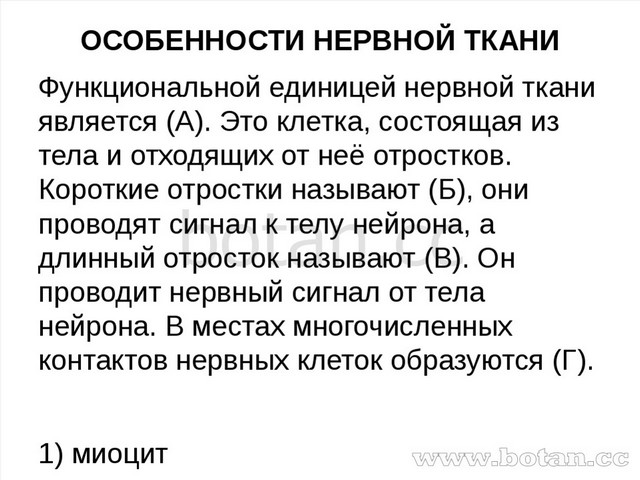 ОСОБЕННОСТИ НЕРВНОЙ ТКАНИ Функциональной единицей нервной ткани является (А)....