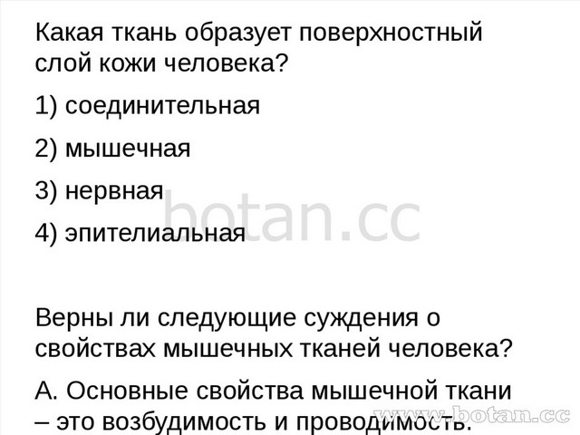 Какая ткань образует поверхностный слой кожи человека? 1) соединительная 2) м...