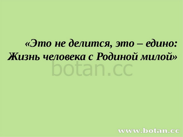 Проект на тему всю жизнь несу родину в душе