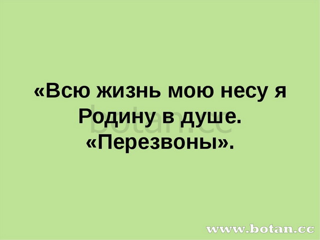 Проект на тему всю жизнь несу родину в душе