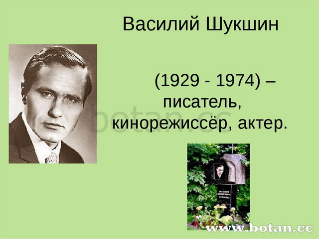 Проект на тему всю жизнь мою несу родину в душе музыка 5 класс письменно