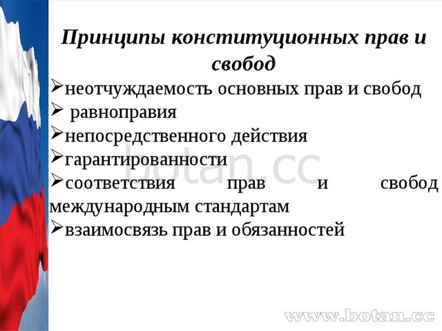 Презентация политические права 10 класс право никитин