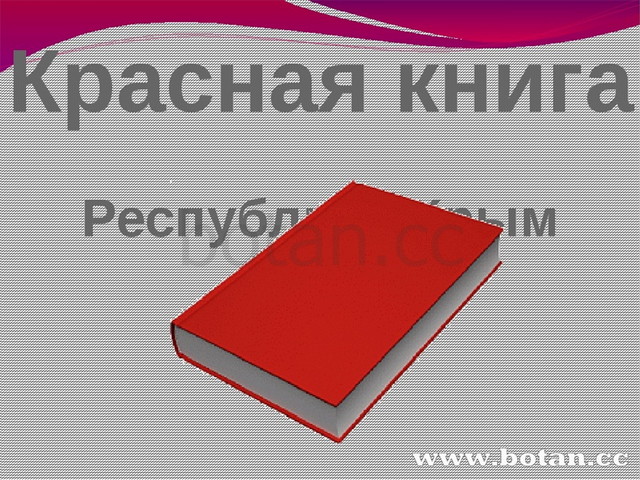 Сергей Аксёнов поручил применять самые жёсткие меры к организаторам незаконных м