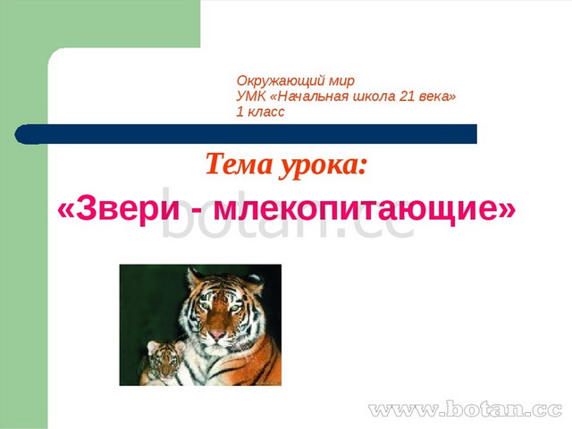 Что такое зоопарк 1 класс презентация школа россии