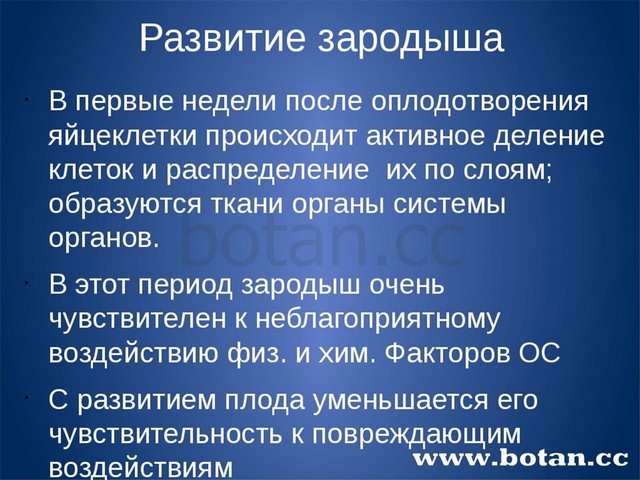 Развитие после рождения 8 класс презентация