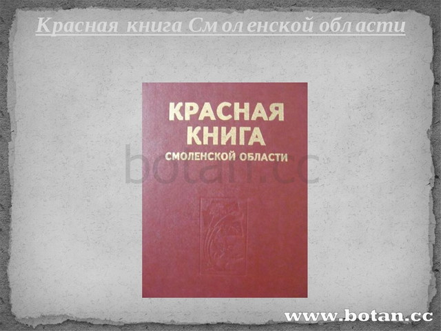 Красная книга смоленской области проект