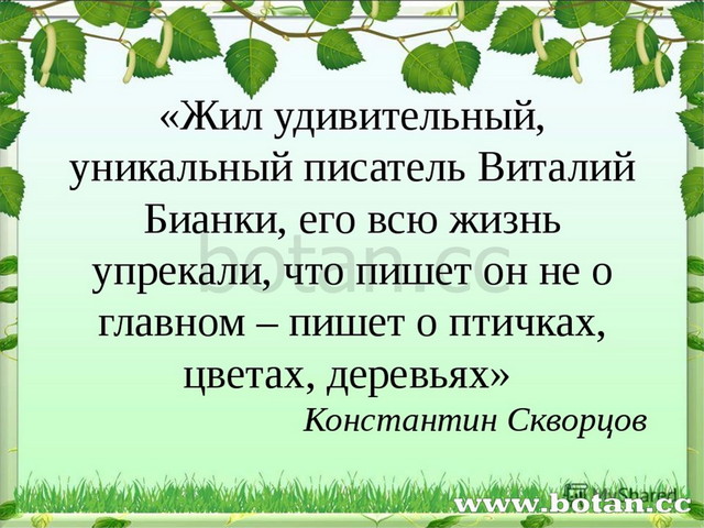 Люблю все живое 2 класс перспектива презентация