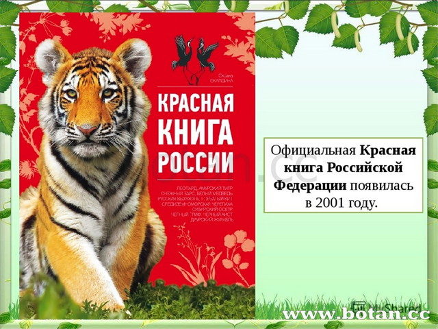 Люблю все живое 2 класс перспектива презентация