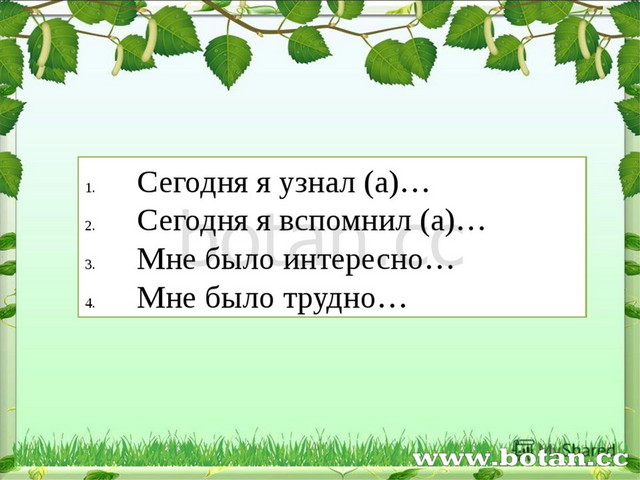 Люблю все живое 2 класс перспектива презентация