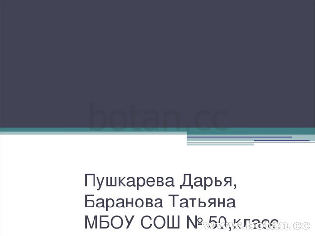 Школьное образование от древности до современности презентация