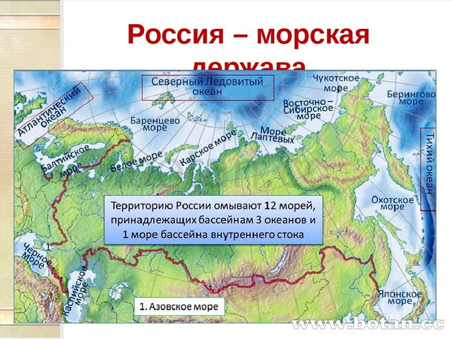 Карта россии с морями и океанами омывающие