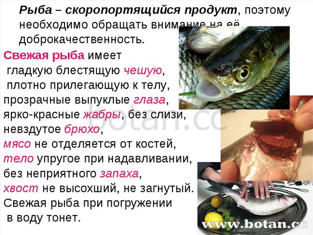 Морепродукты презентация по технологии 6 класс